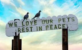 World Pet Memorial Day