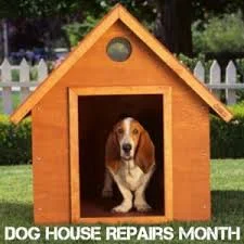 PET HOLIDAY FOR THE MONTH OF JULY