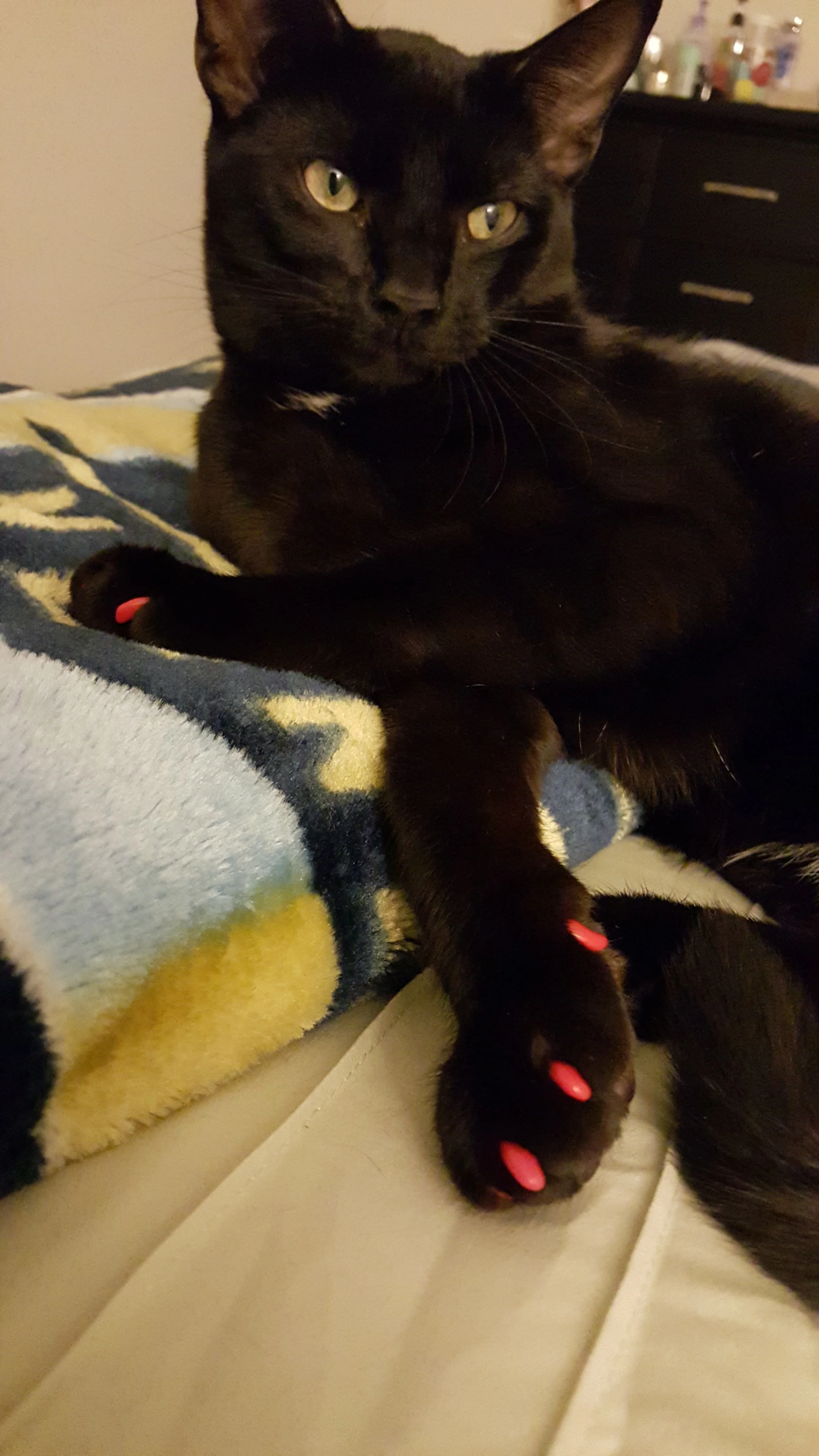 20151203_174419.jpg