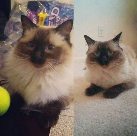 Before & After