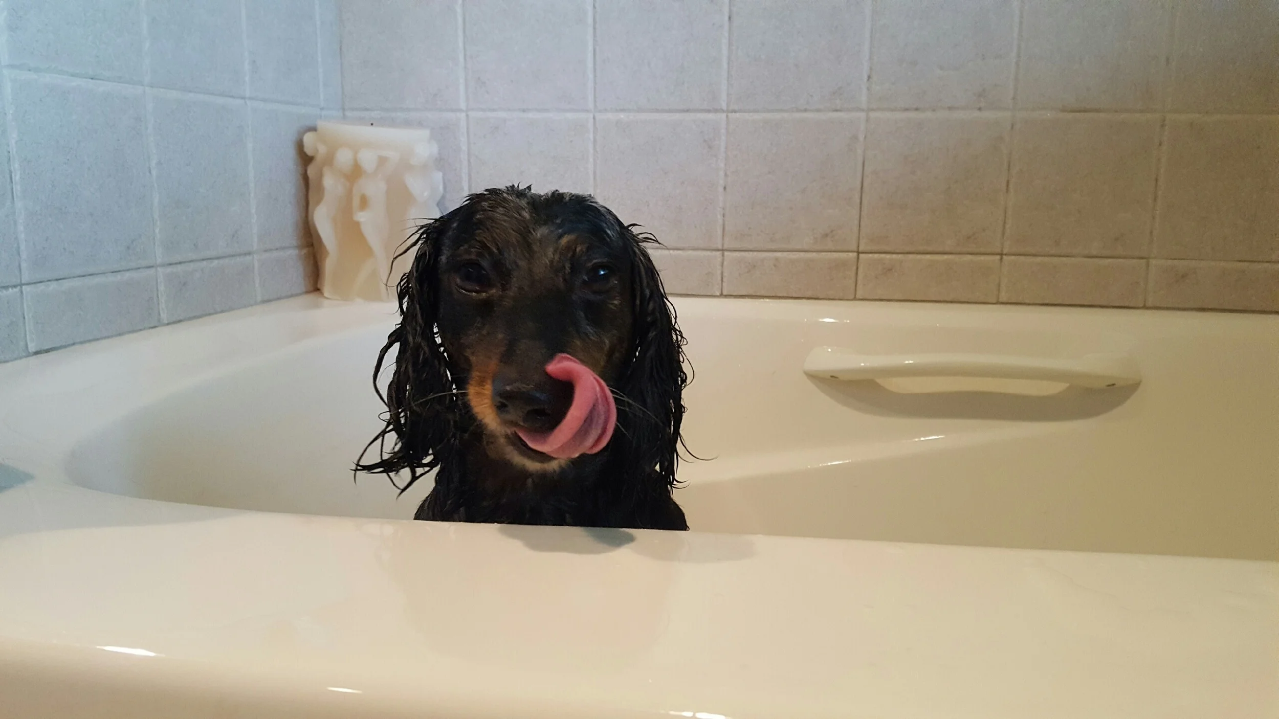 Bath time