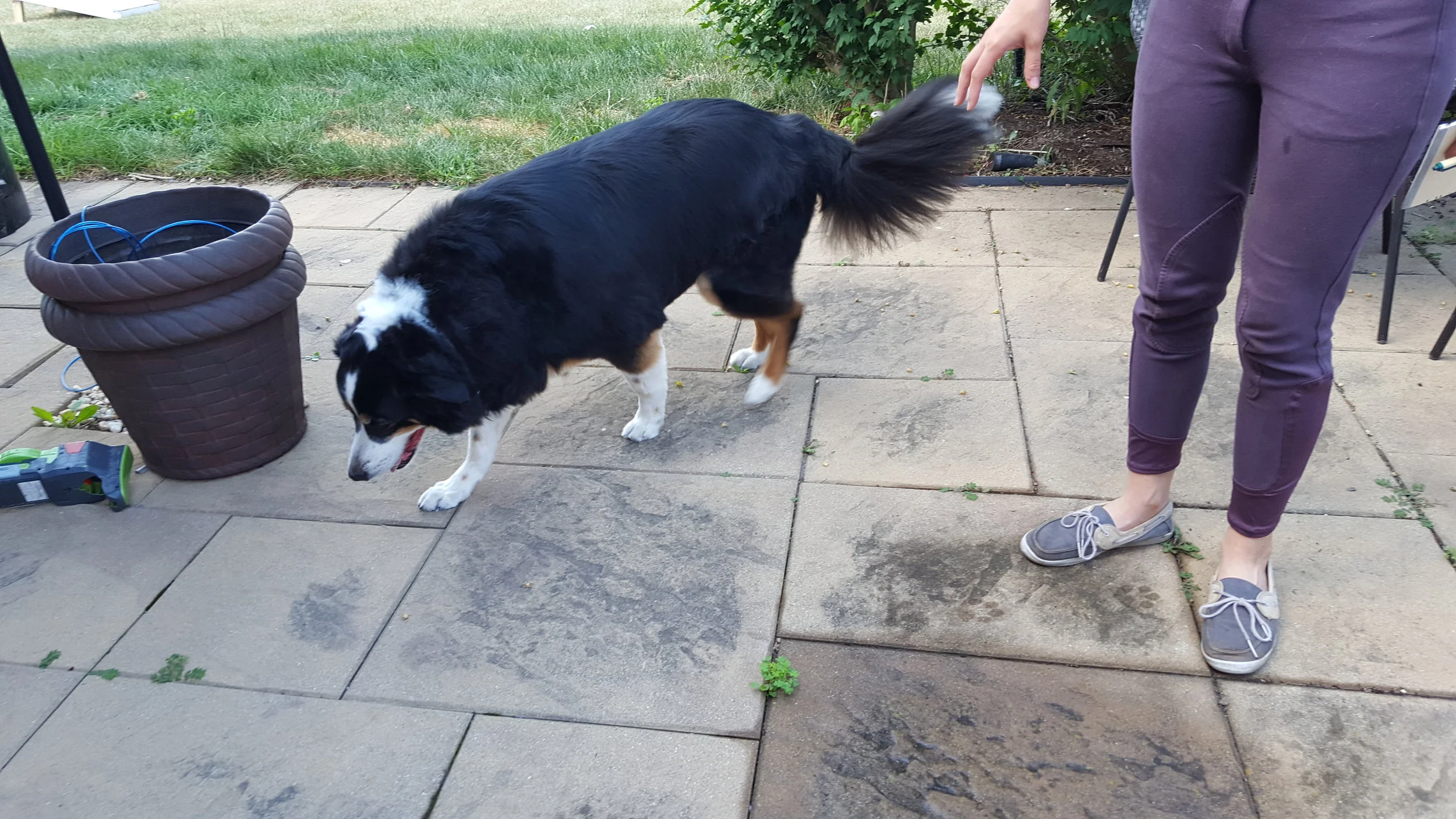 20160712_105512.jpg