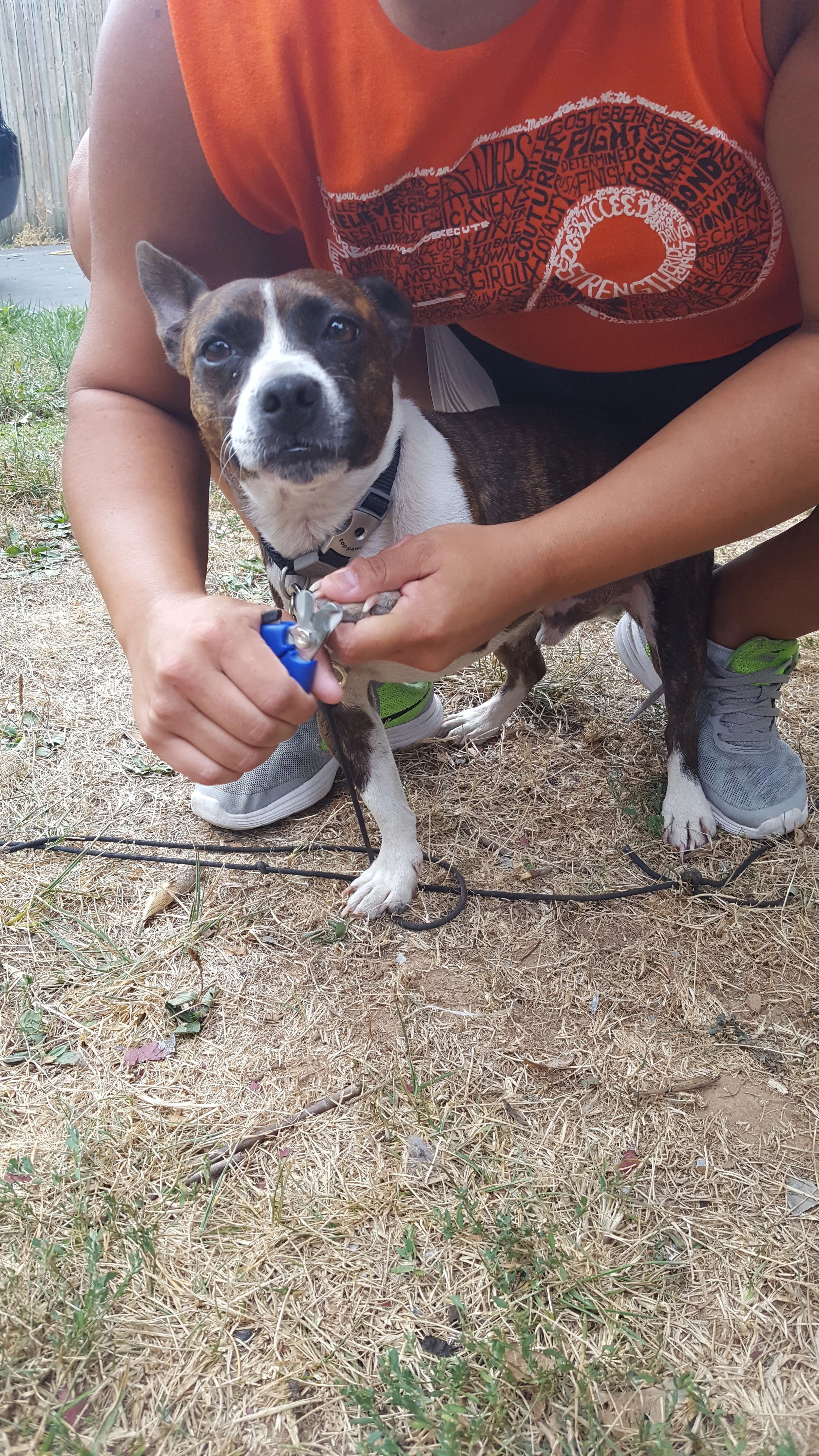 20160918_141926.jpg