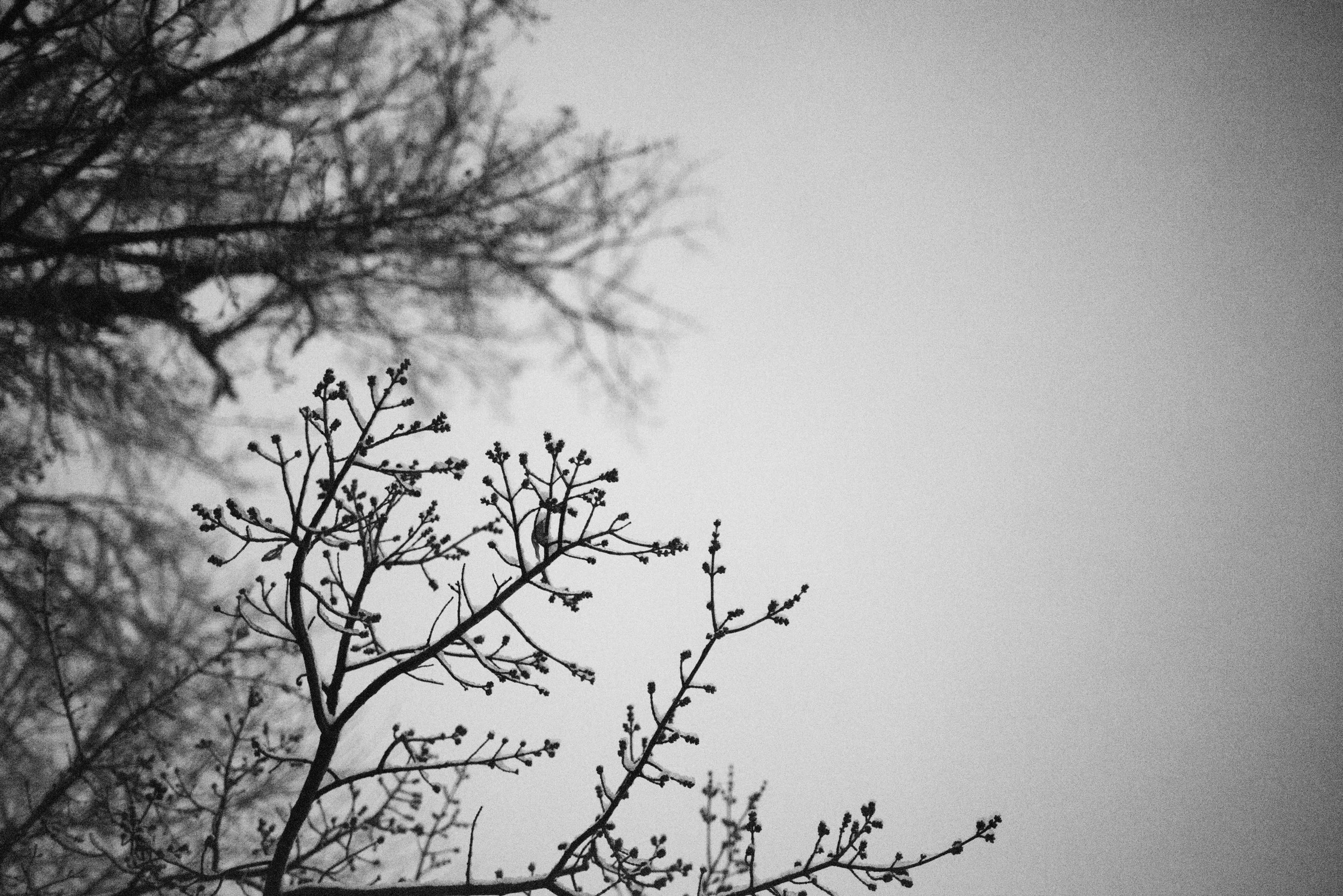 24 / 365