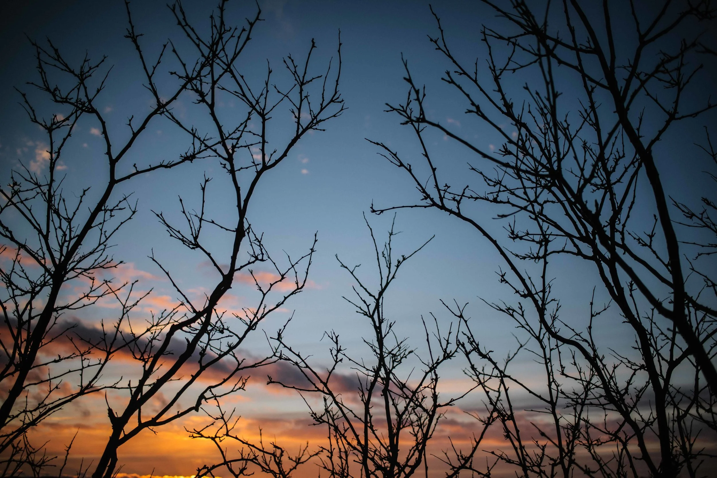 40 / 365
