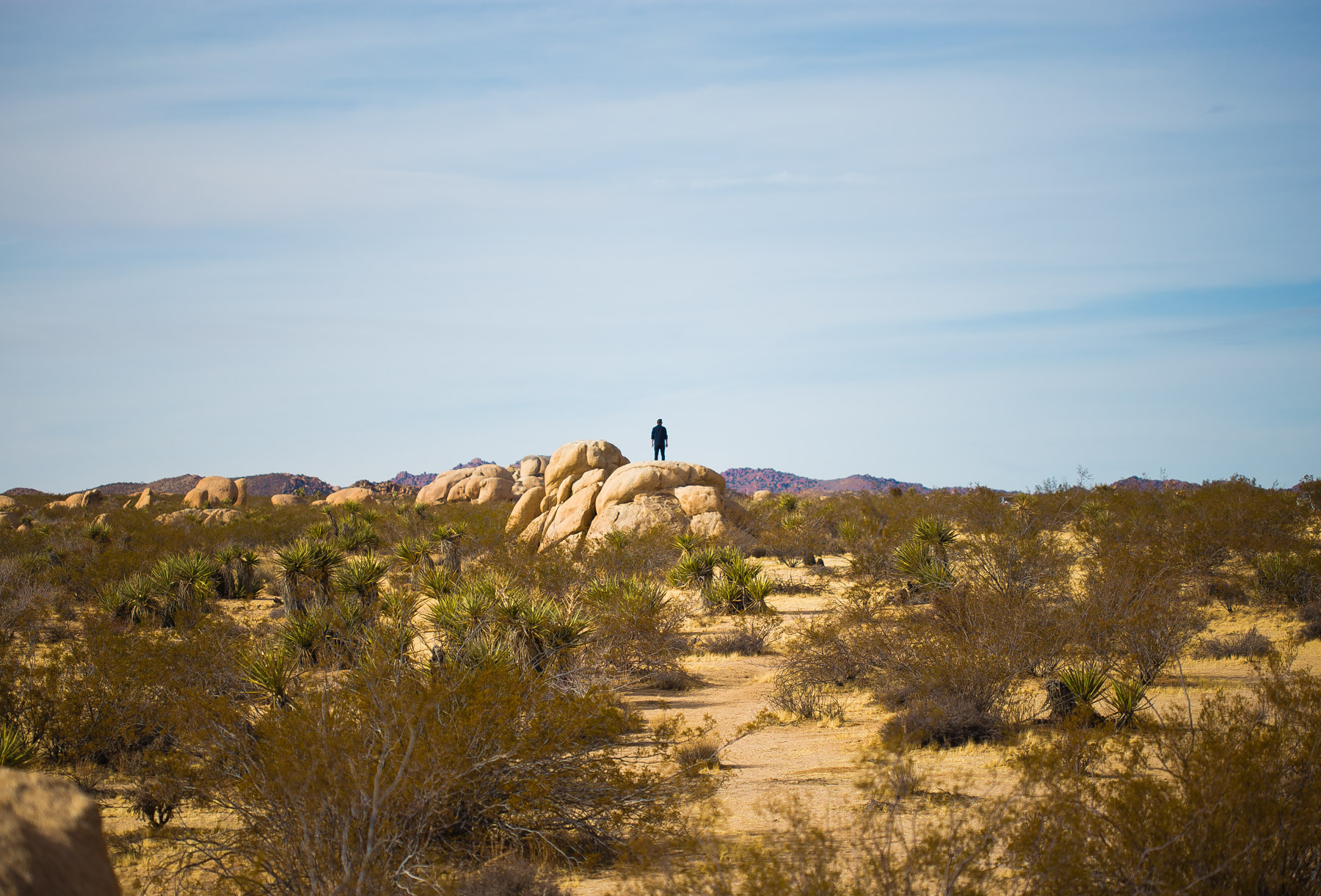 alexa_wright_joshua_tree-17.jpg