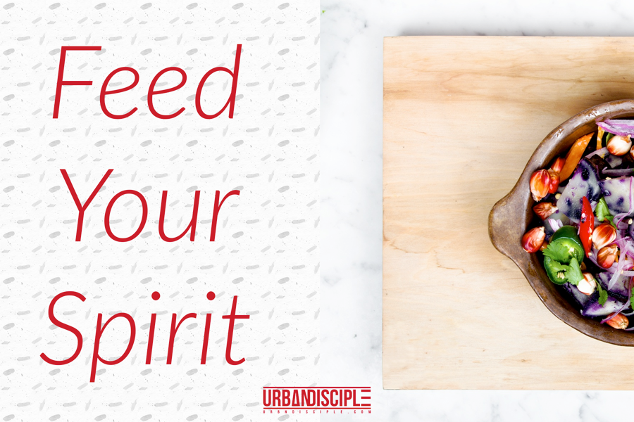 Feed-Your-Spirit.png