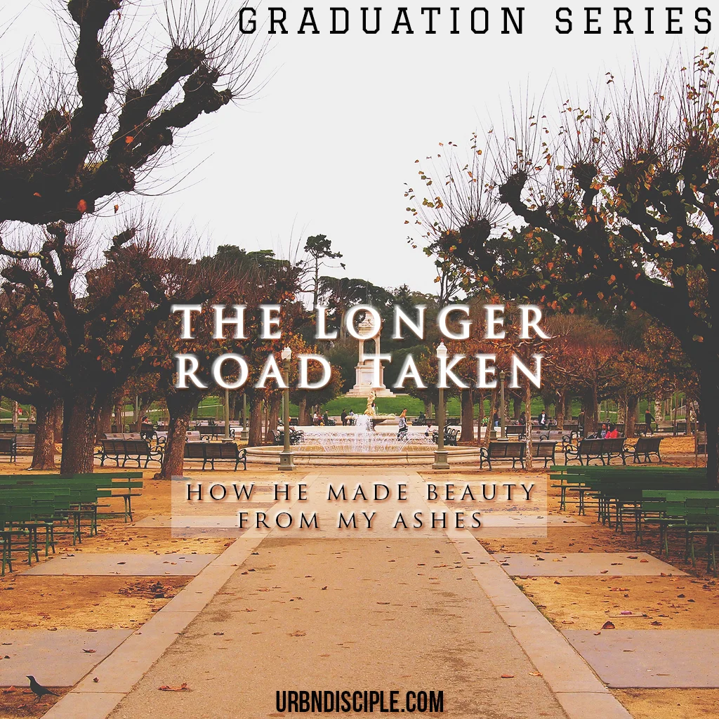 The Longer Road Taken.jpg