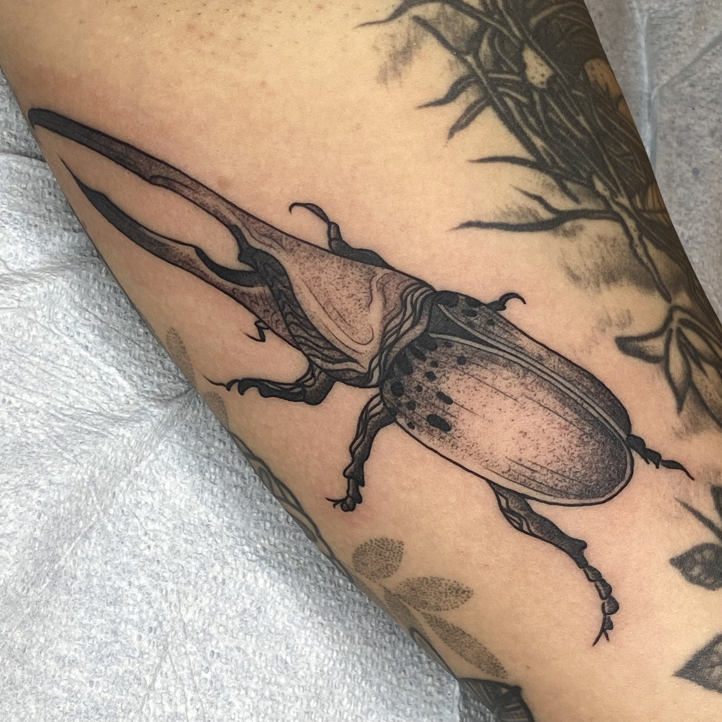 Animal, Color, Realism tattoo by