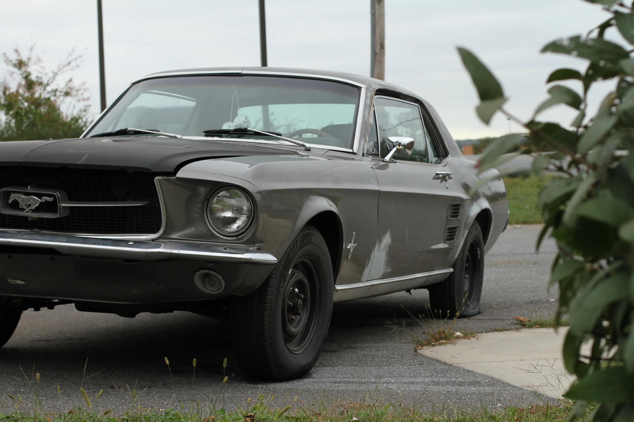 Rat Rod 65 Ford Mustang