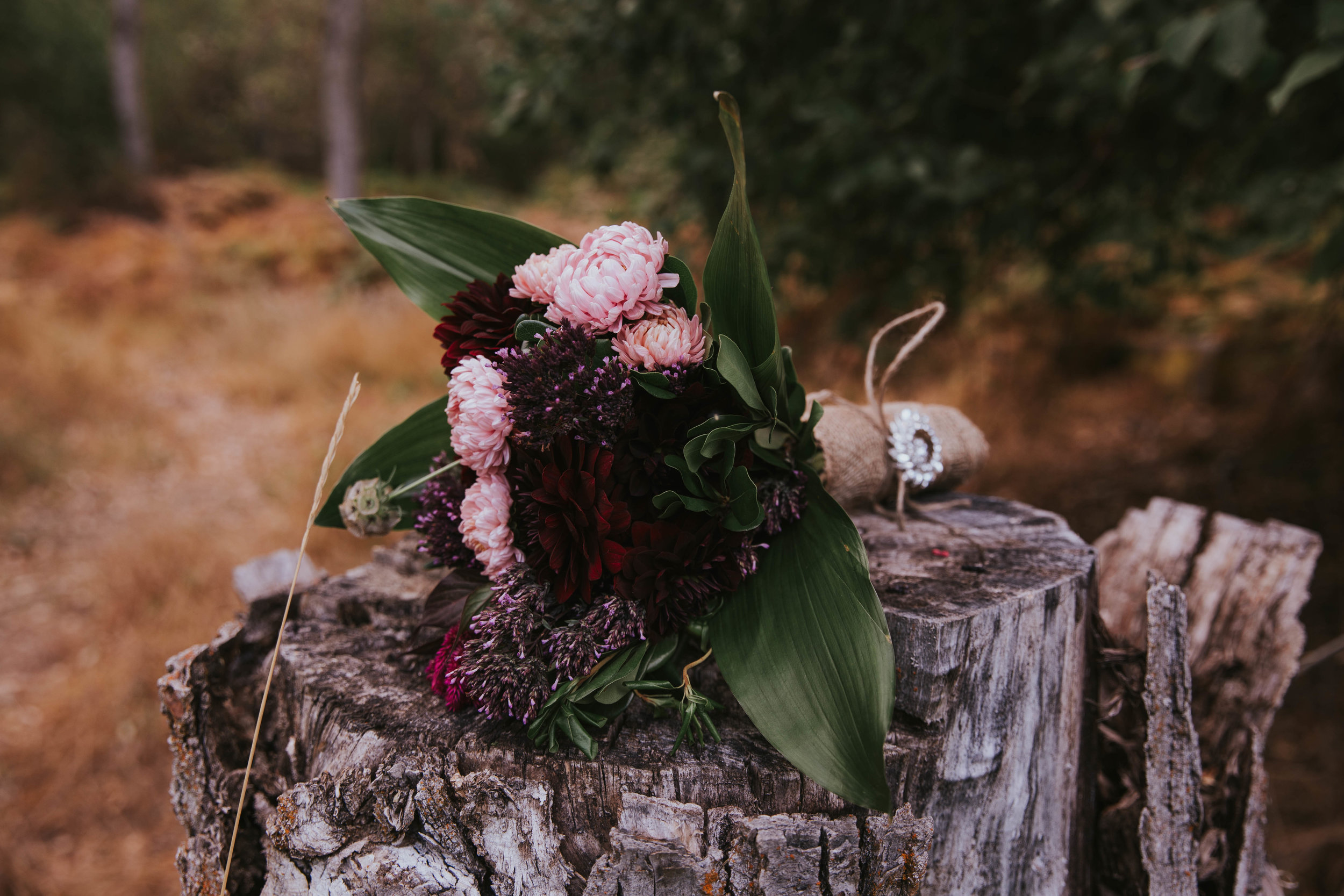 8. First Dance and Sunset-3.jpg