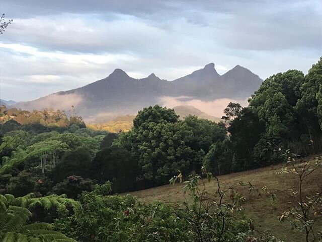 This is truly Paradise to look at to feel to embrace. How would you like these emotions inside of you. I had the most amazing experience a couple of weeks ago I will never forget I had a Kahuna Body Work Treatment with Chrissy, Sacred Temple Style Ma