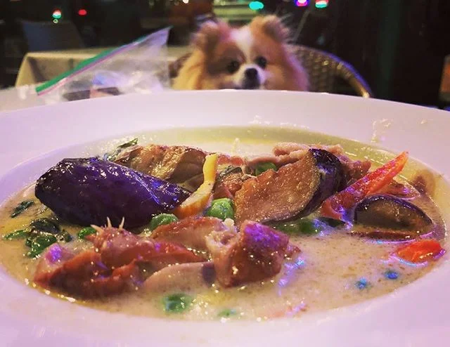 Green Curry Eggplant with Roasted Duck. We are also 🐶 friendly!
