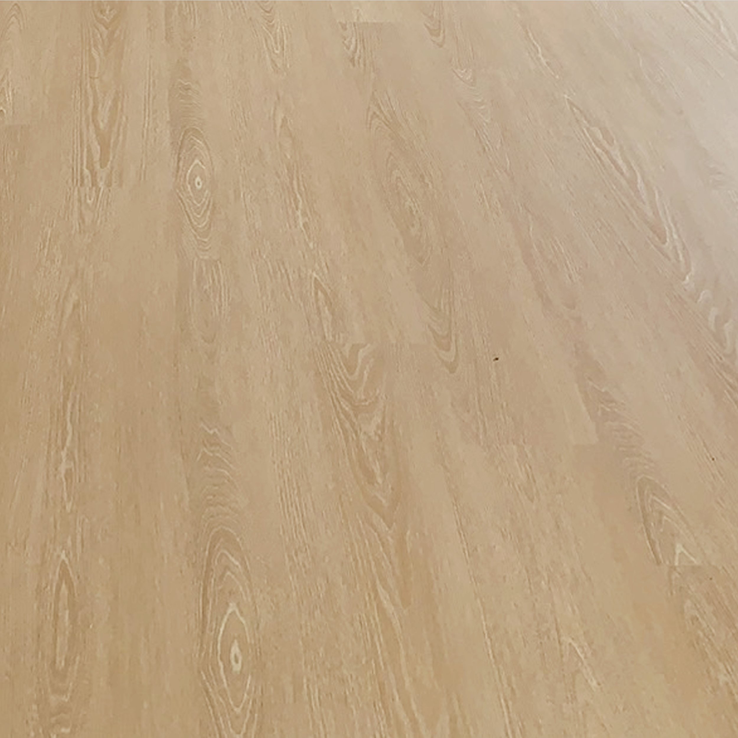 BISCUITArtboard 4.jpg