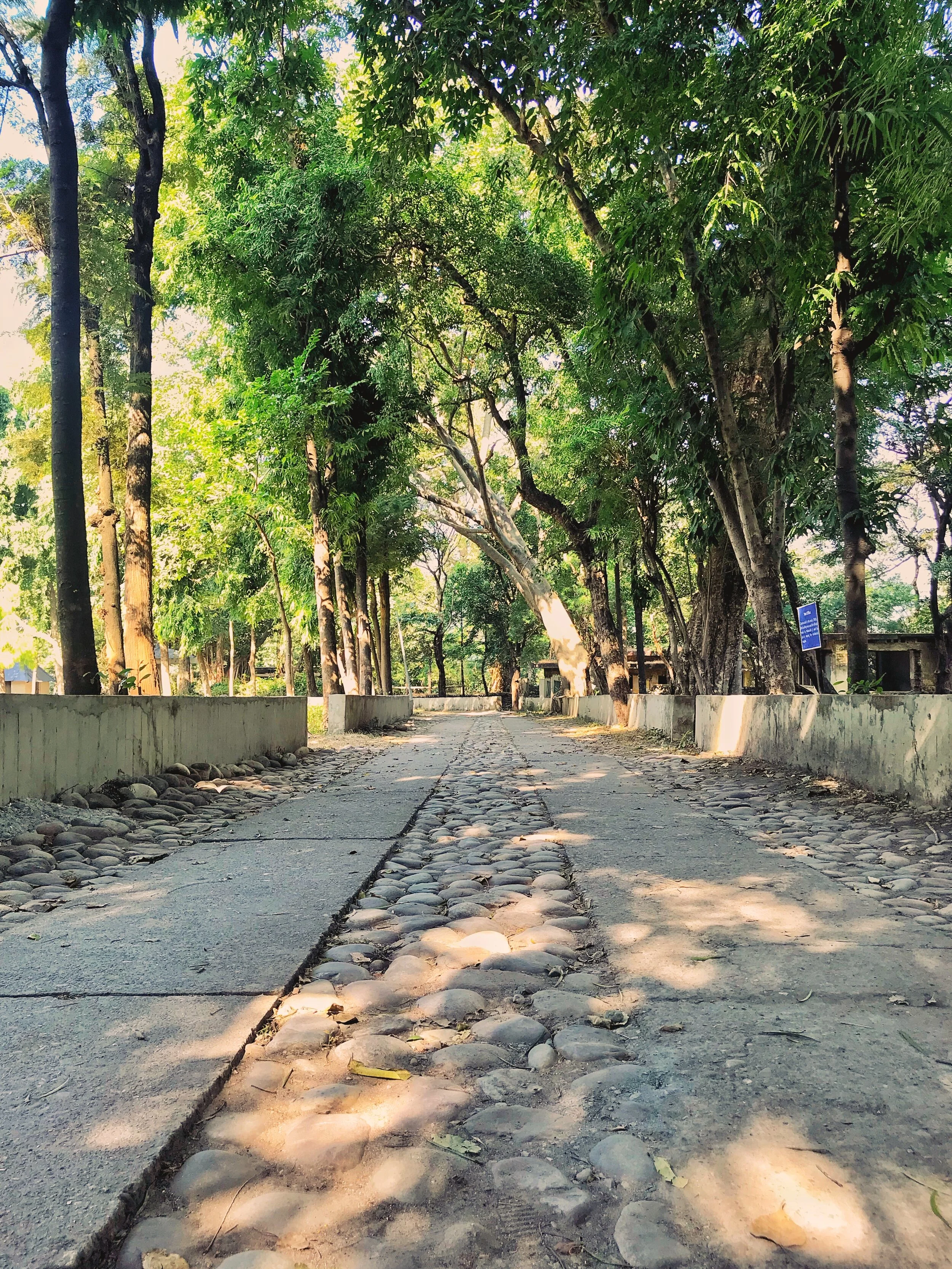 Main Street at BA - Rhythm of Bricks and Stones and Souls.JPG