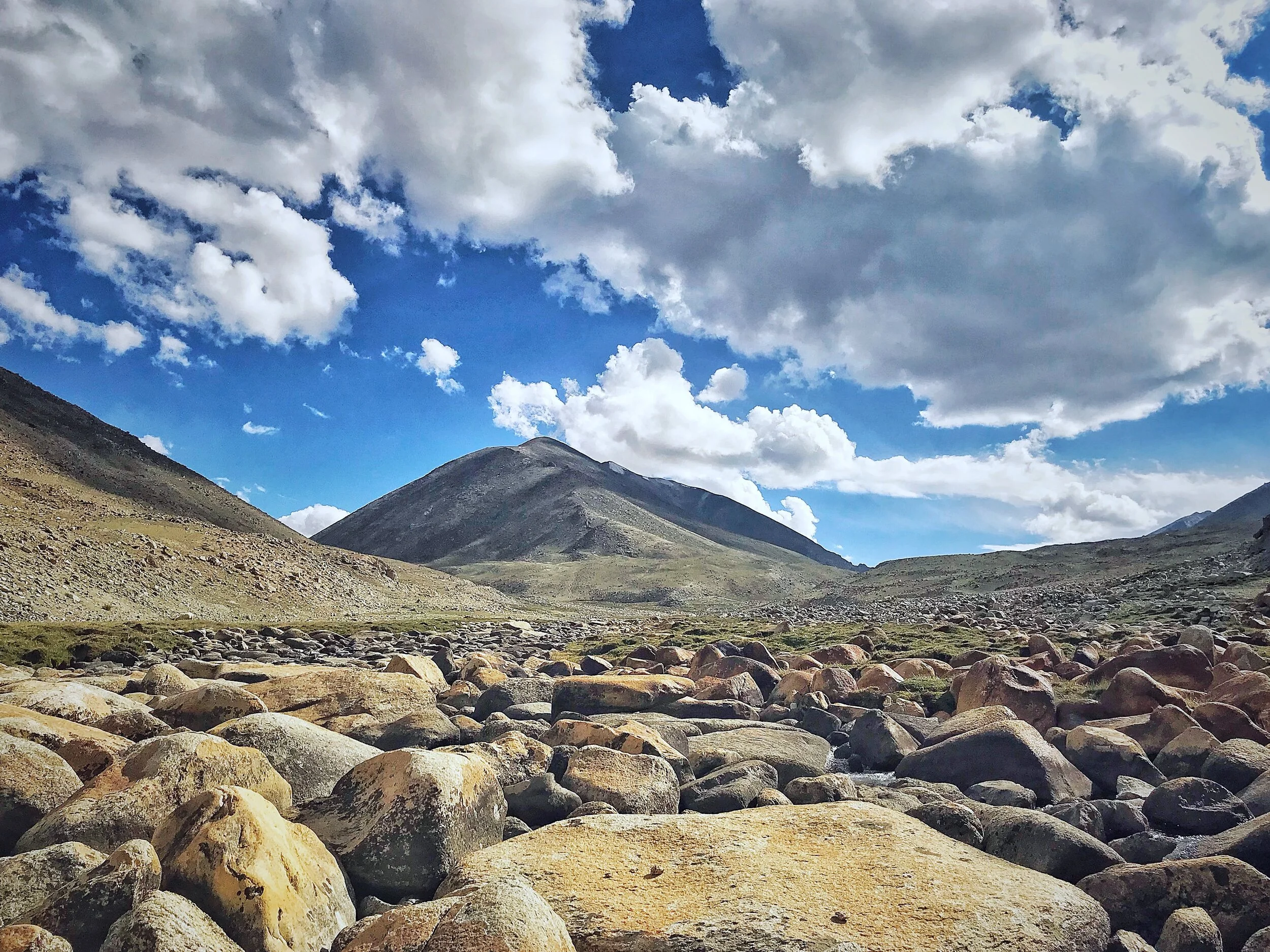 Ladakh Wilderness.JPG