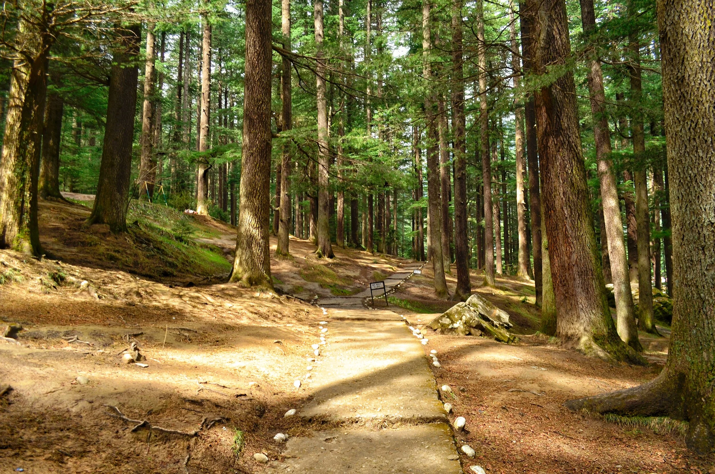 Pathways from Hidimba Temple.JPG