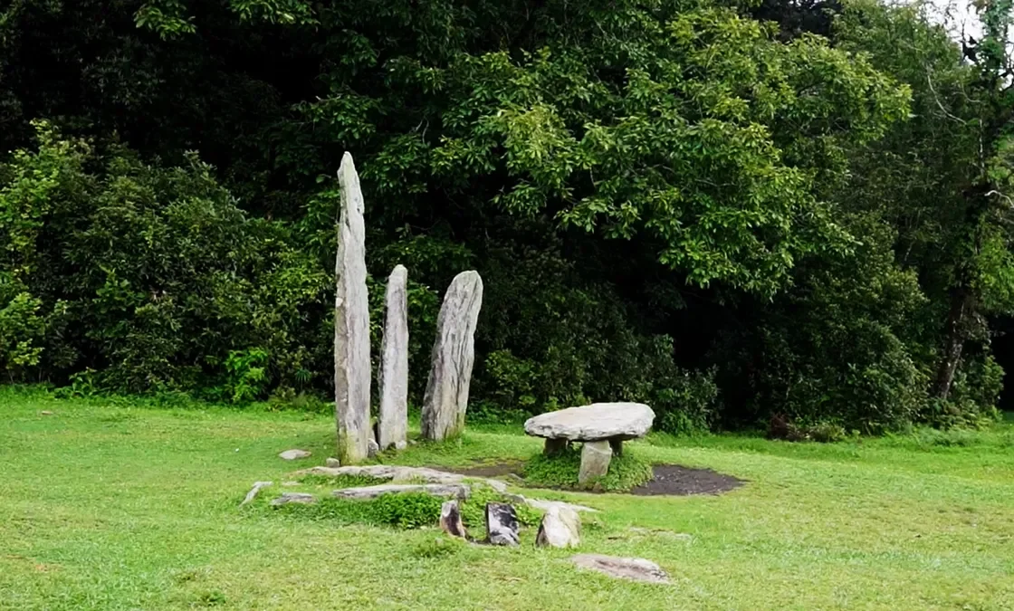 Mawphlang Sacred Grove 2.webp