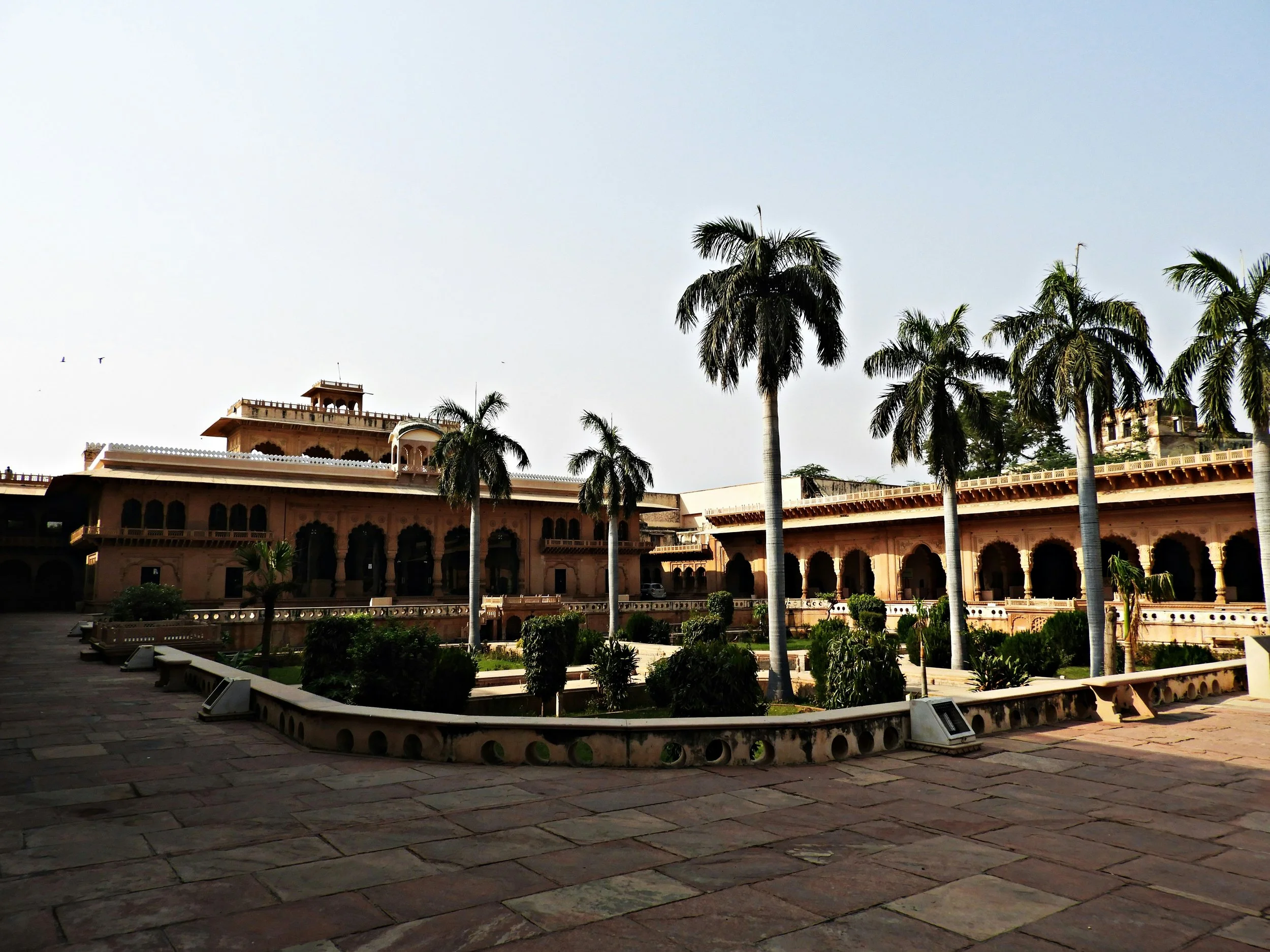 rajiv-bajaj-_CG-OTVVr2Q-unsplash.jpg
