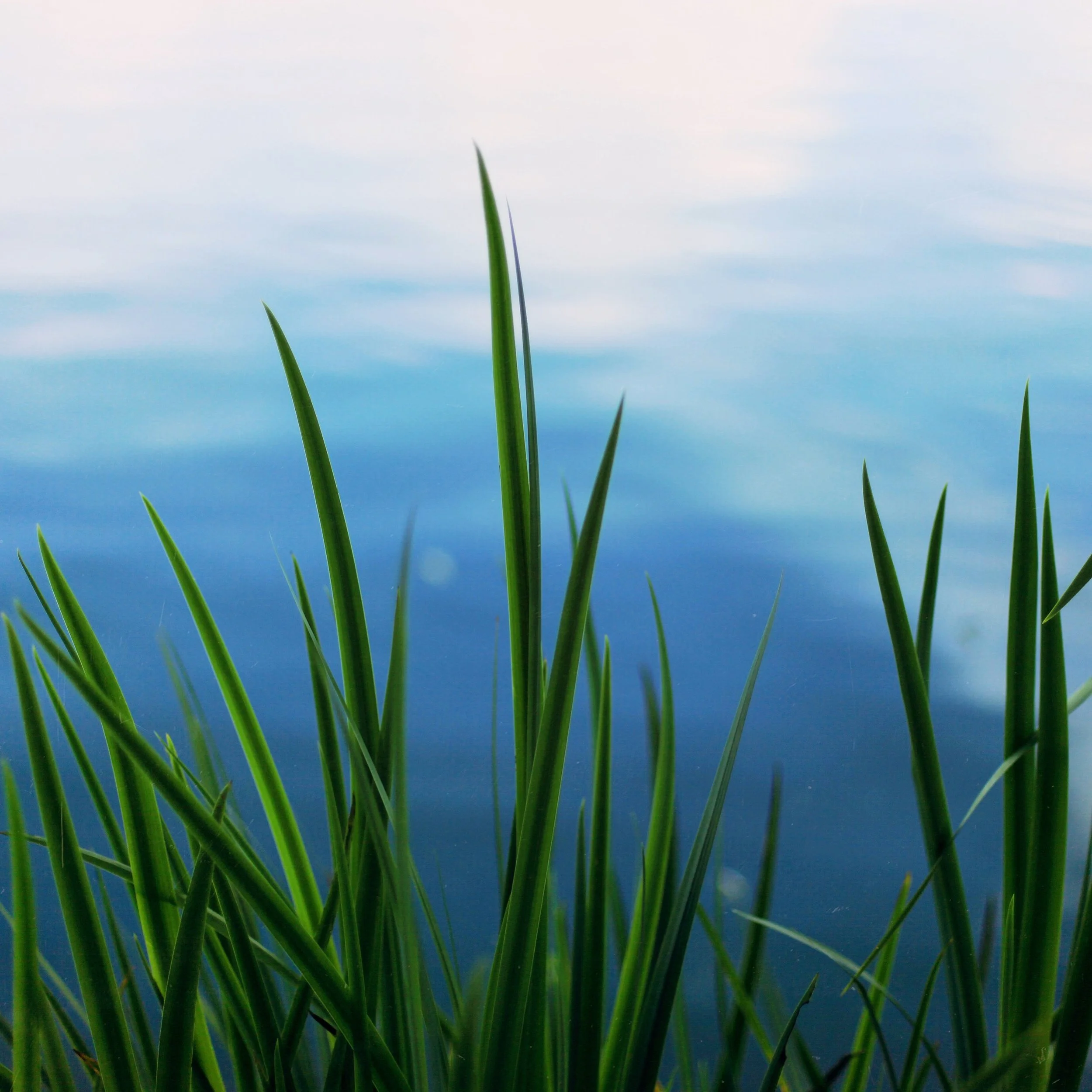 2016-06-16 17.19.21.jpg