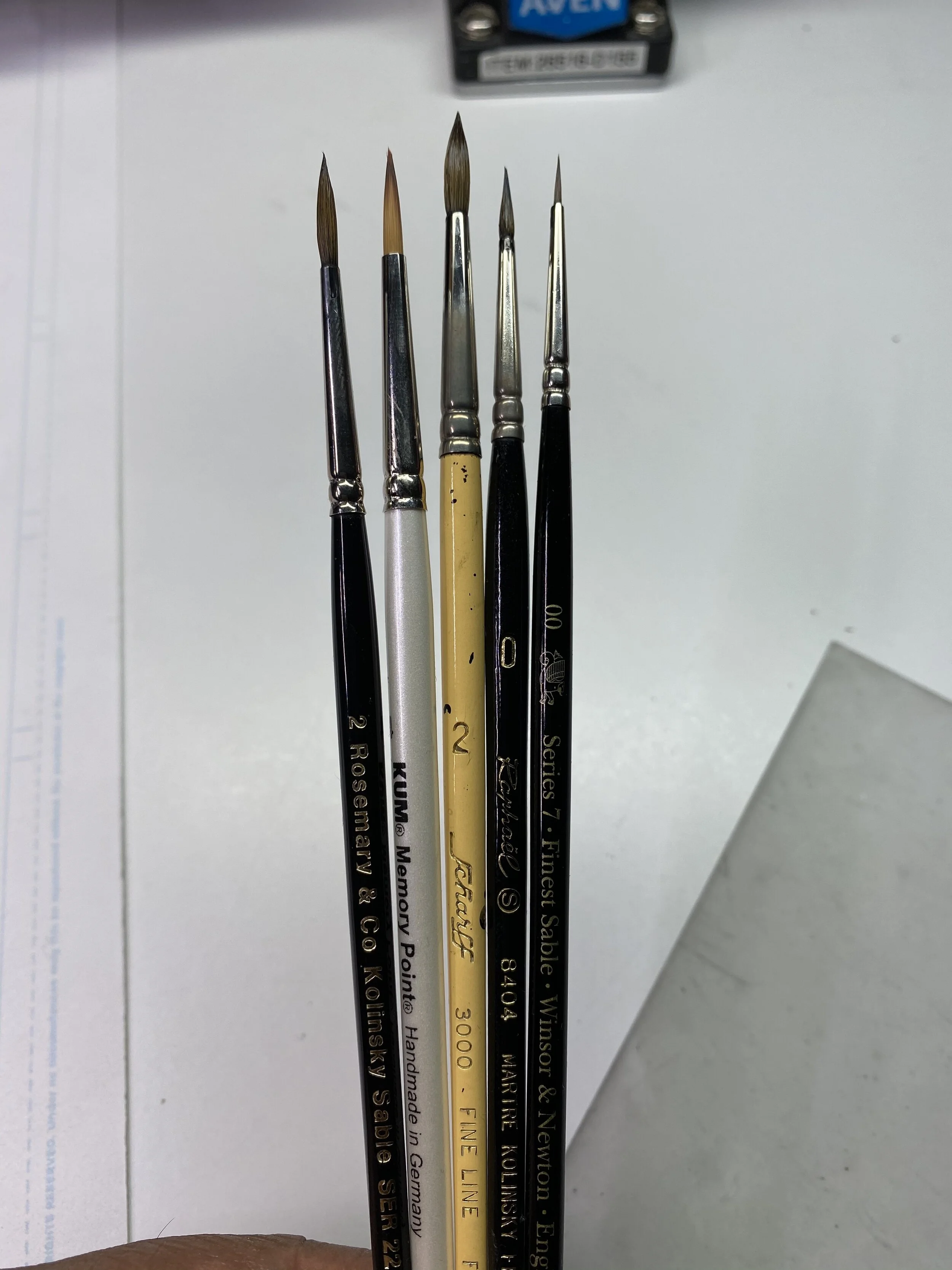 What would you like to know?