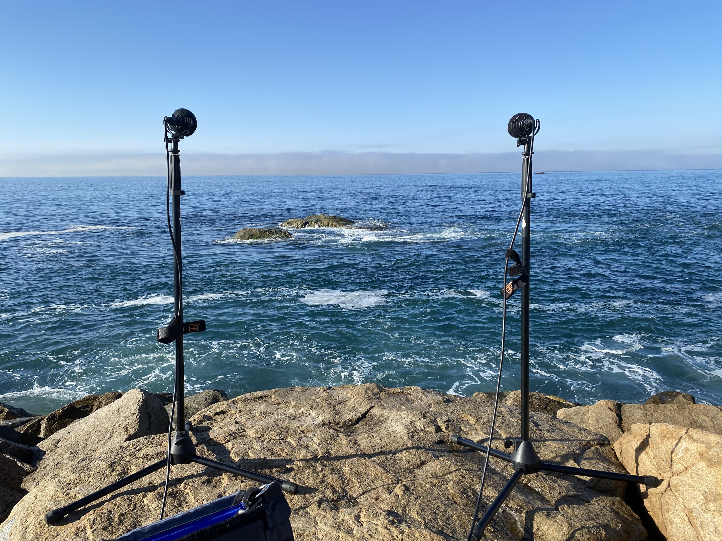 Tim Nielsen  kicked off an ambience crowd source project to fund  thewaterproject.org  charity. Here I am recording the ocean at the Dana Point Harbor with an AB pair of Sennheiser MKH 8020s and a Sound Devices 702 recorder.