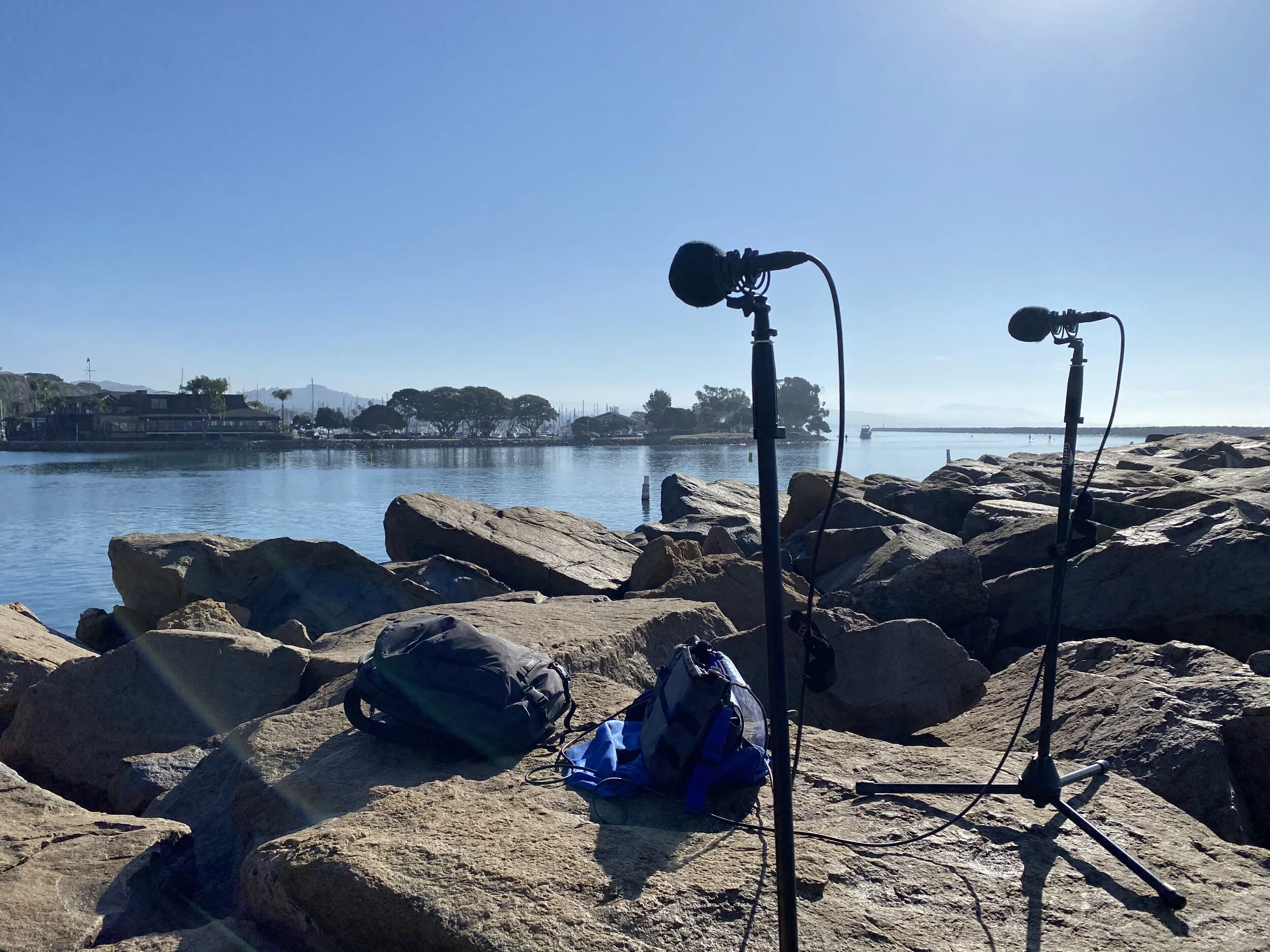 Tim Nielsen  kicked off an ambience crowd source project to fund  thewaterproject.org  charity. Here I am recording the ocean at the Dana Point Harbor with an AB pair of Sennheiser MKH 8020s and a Sound Devices 702 recorder.