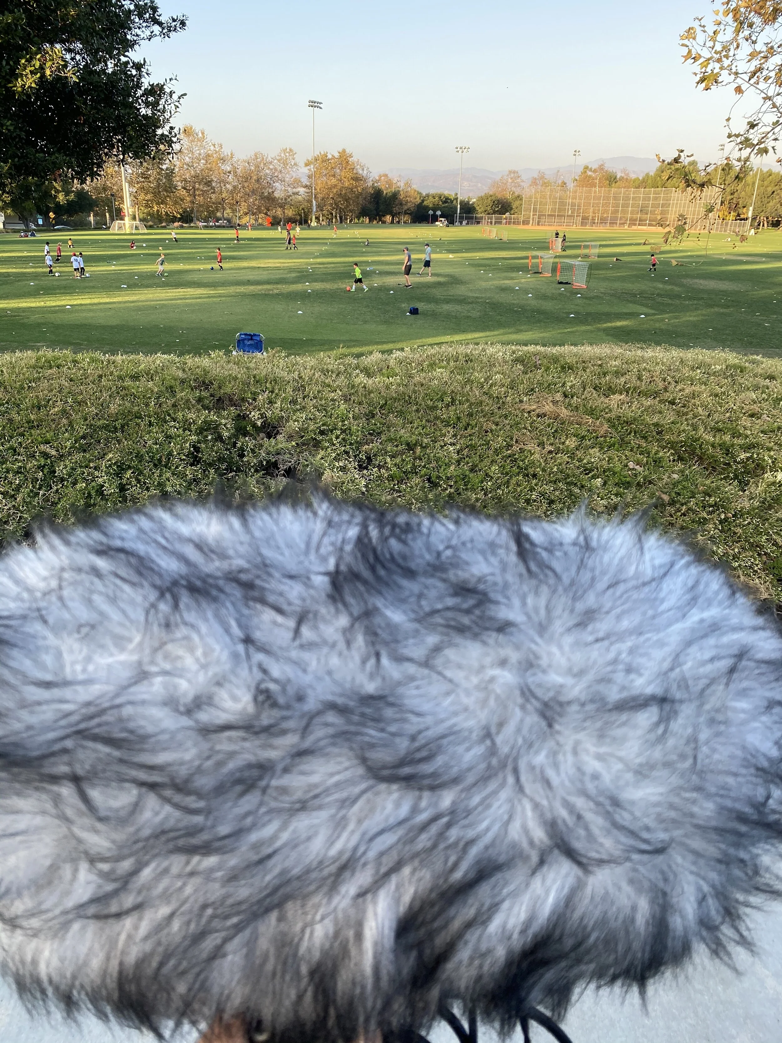 Tim Nielsen  kicked off an ambience crowd source project to fund  thewaterproject.org  charity. Here I am recording kids practicing football with a pair of Sennheiser MKH 8040s in ORTF and a Sound Devices 702 recorder.