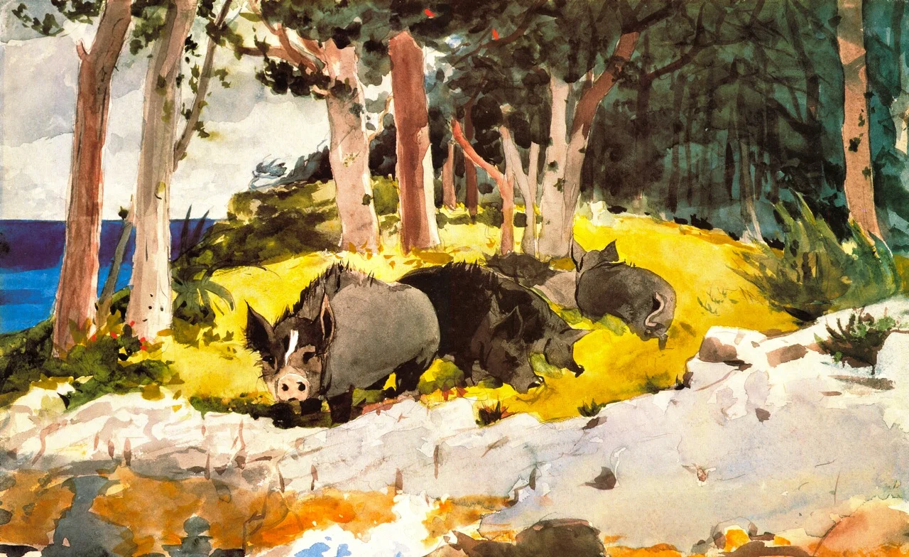 WH Winslor Homer hog art.jpeg