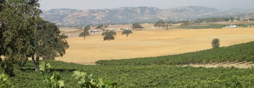 VS AND GGRRAPOPESSS - 1 of 1 (1).jpeg