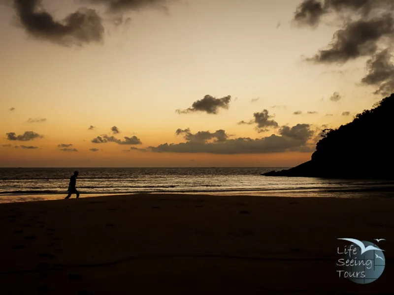 AFTER SUNSET