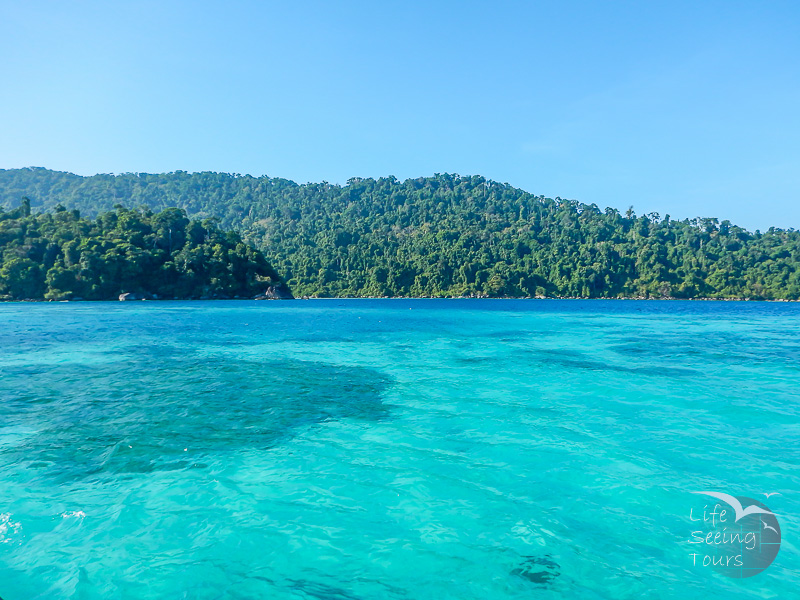 SNORKELING