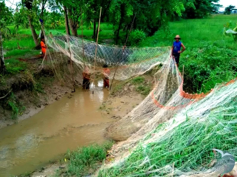 CREEK FISHING