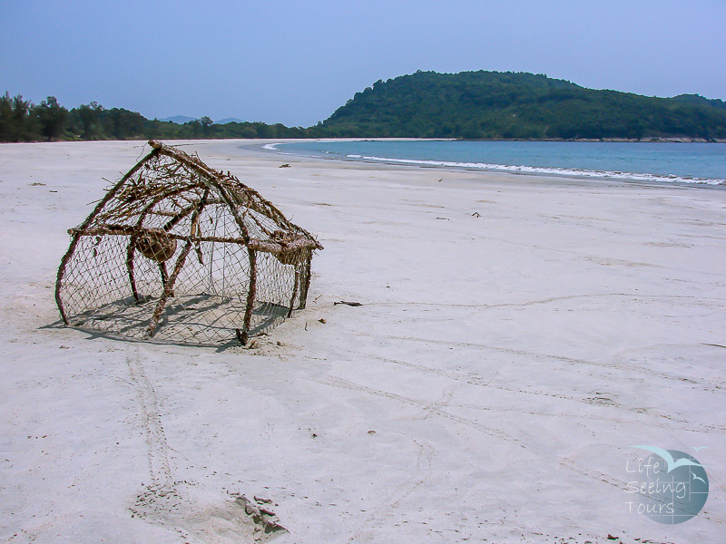WHITE BEACHES