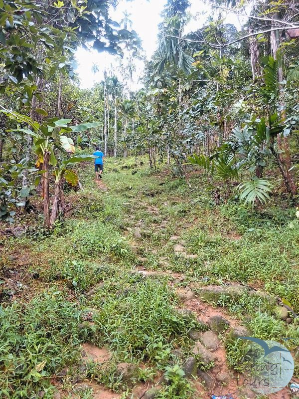 TREKKING