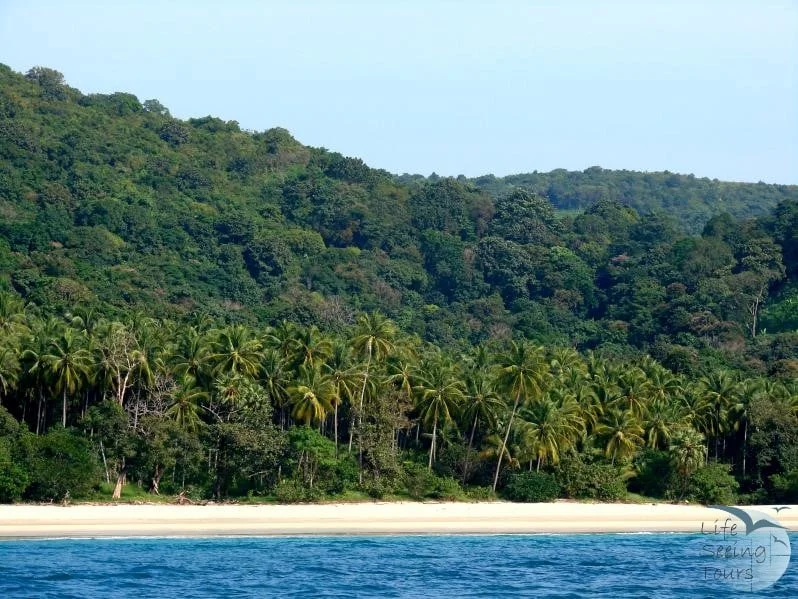 DAWEI PENINSULA