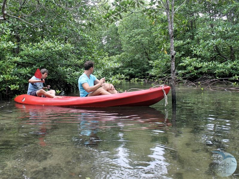 Kayaking index 1_Fotor.jpg