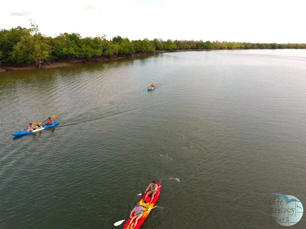 KAYAKING