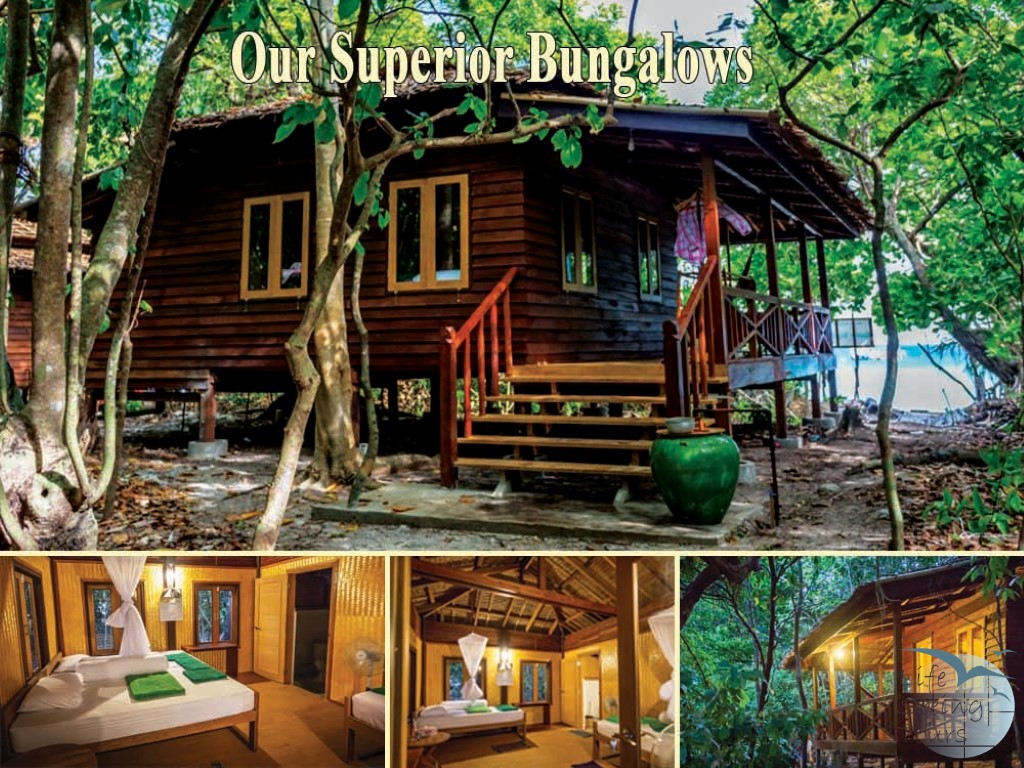 Our Superior Bungalows (Medium).jpg