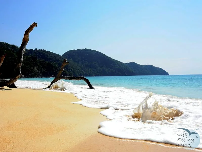 around_lampi_island.jpg