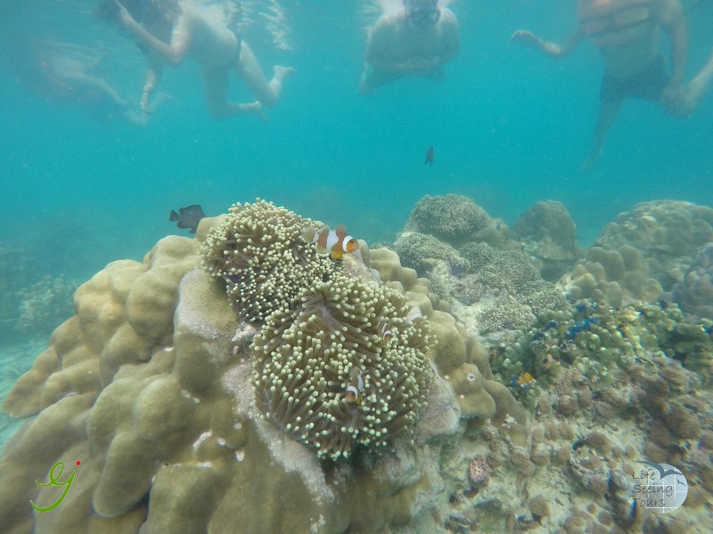 UNDERWATER