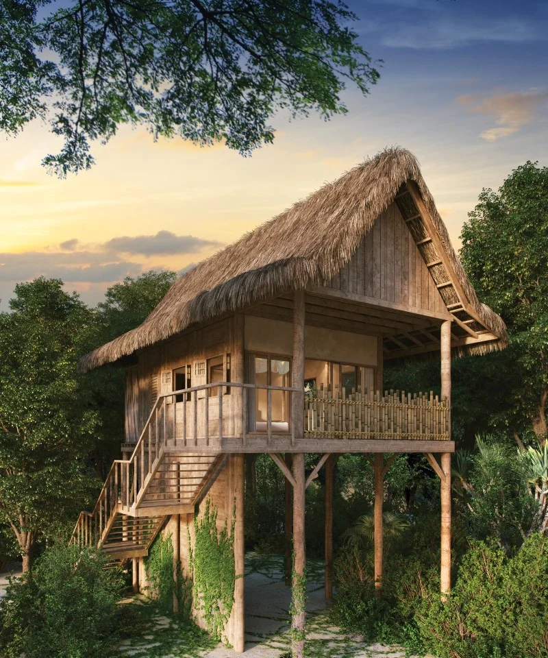 Wa-Ale-accommodations-treetop-villa-render-01 (Custom).jpg
