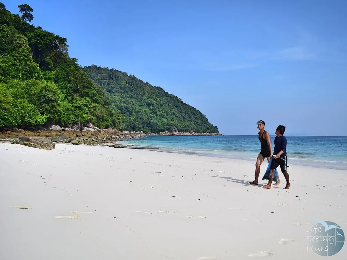 MERGUI