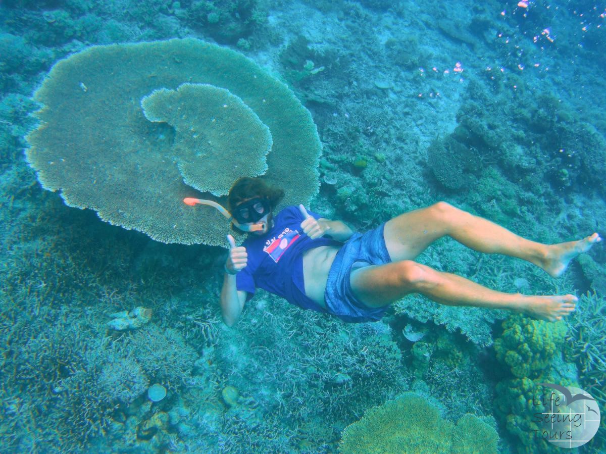 UNDERWATER