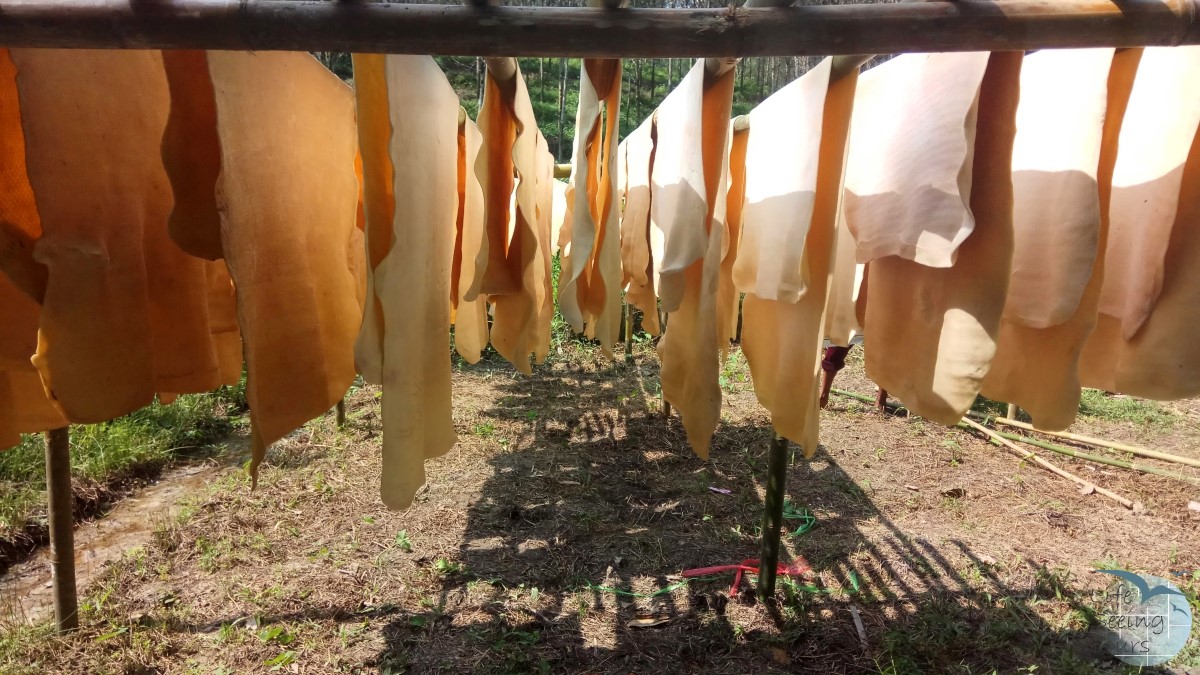 Rubber making.jpg