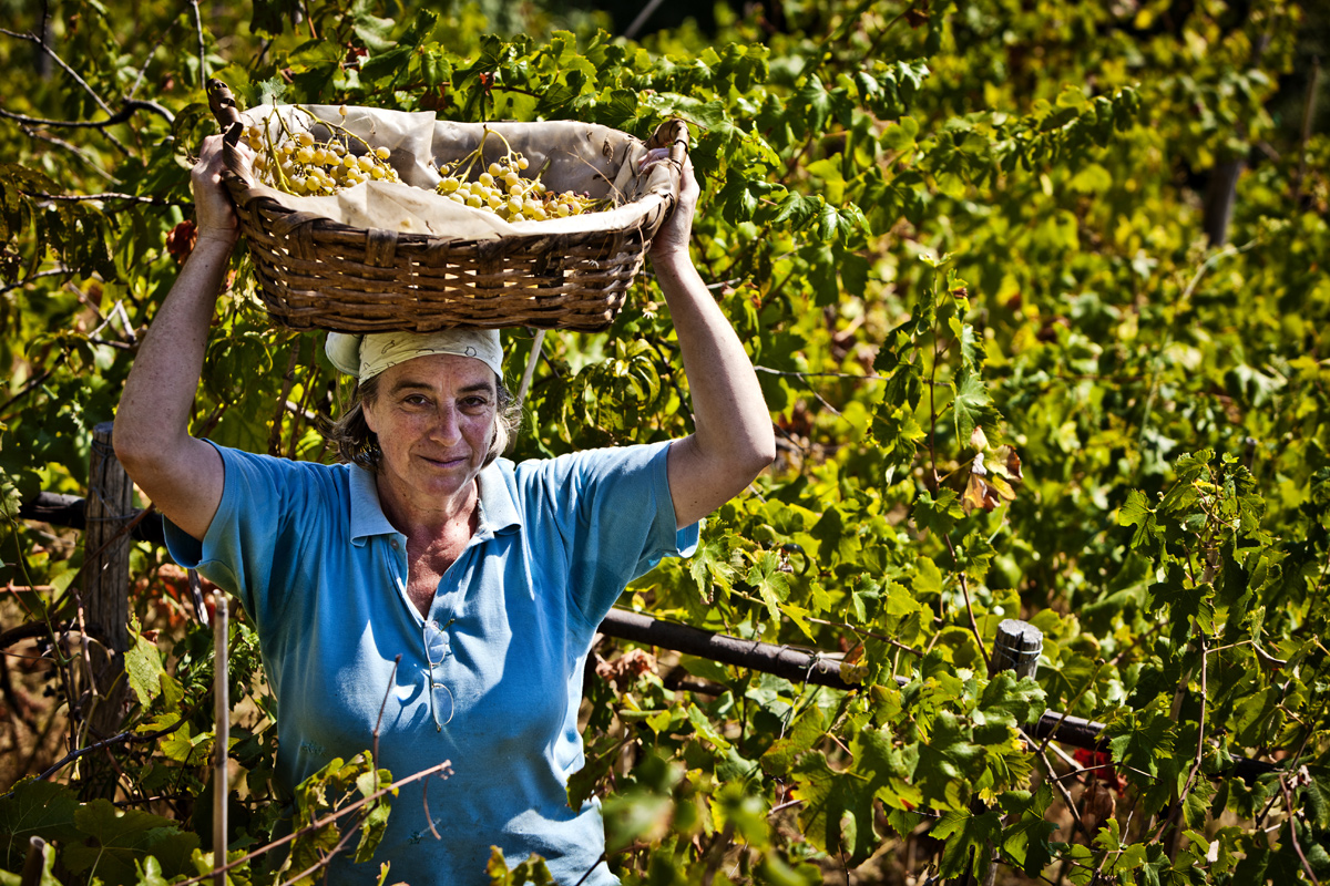 IMG_0575_corniglia-angela.jpg