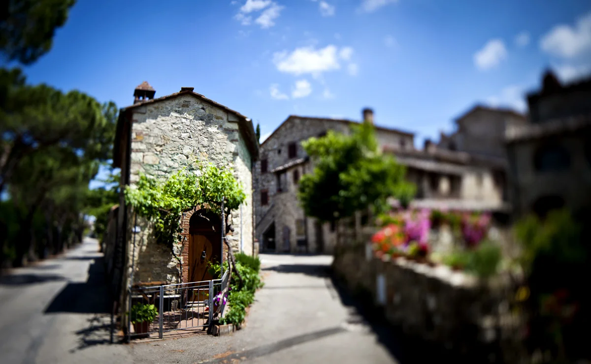 IMG_5261_chianti.jpg