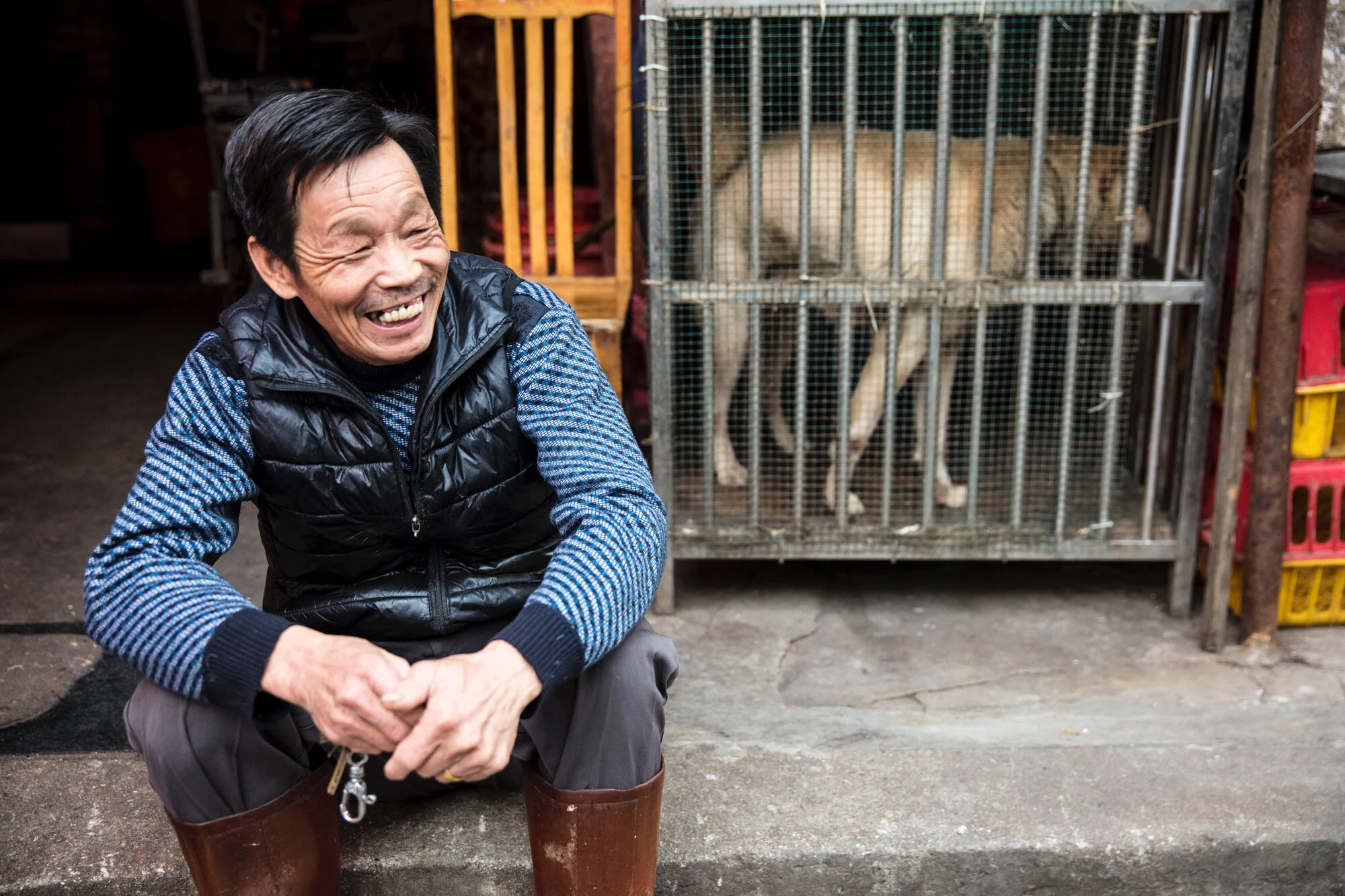 IMG_6822_shenzen jan2016.JPG