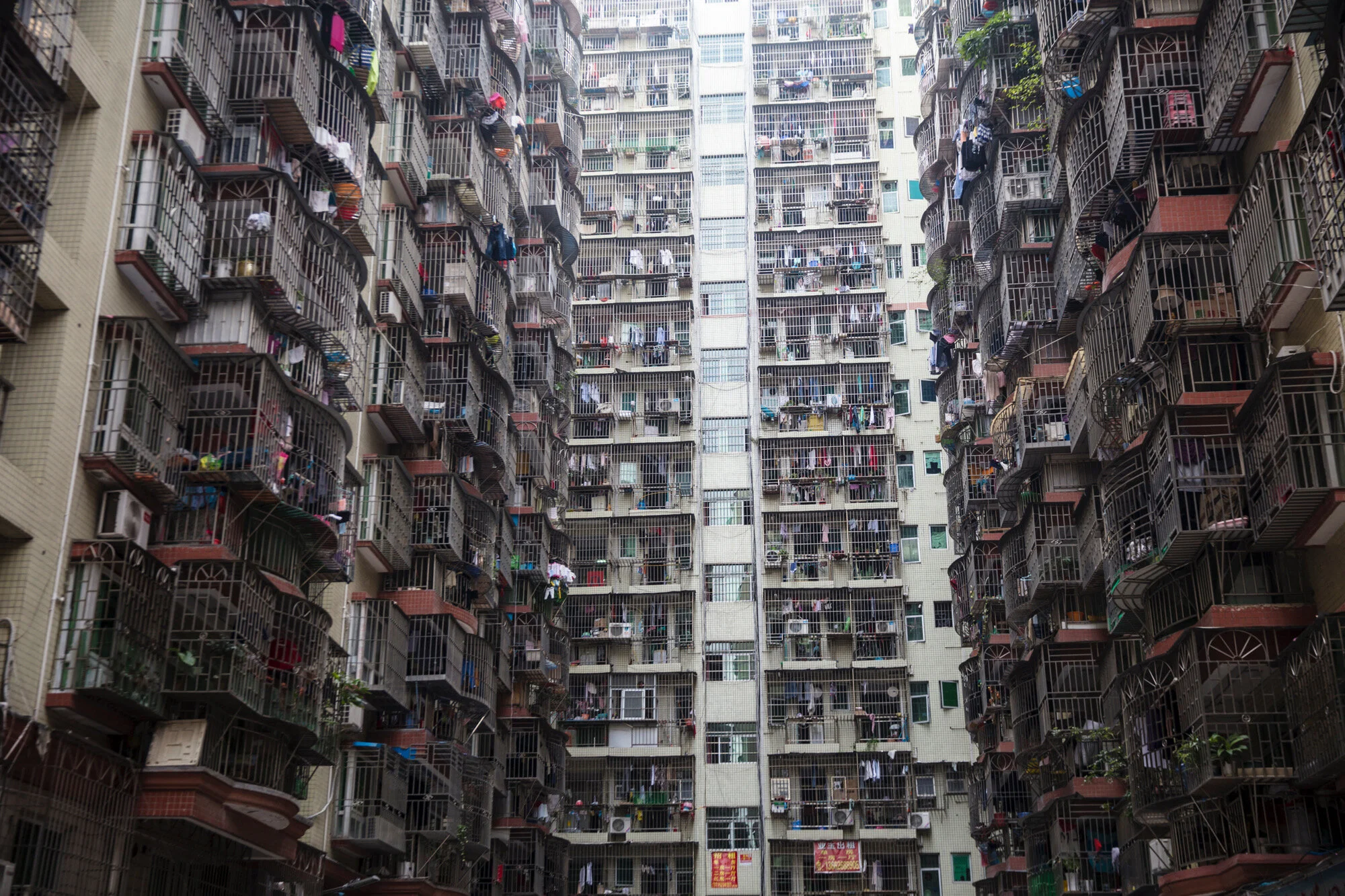 IMG_6821_shenzen jan2016.JPG