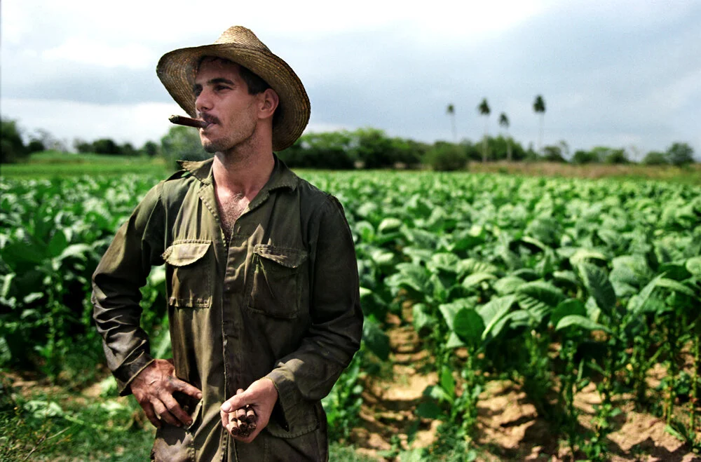 cuba_tabaco_farmer_apr2004.JPG